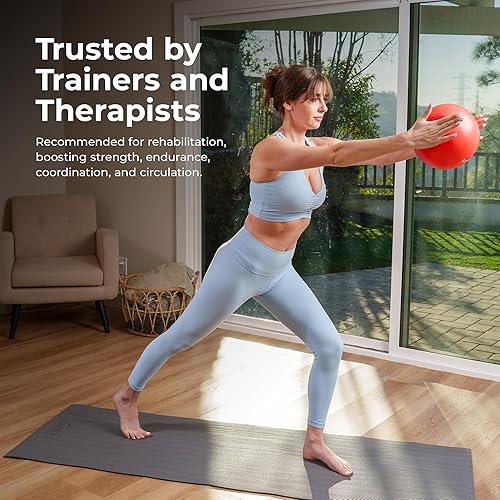 Miniatura 7 de Sunny Health & Fitness Pelota de ejercicio antiestallidos de alta calidad para fuerza central, yoga, pilates, barra, terapia física, equilibrio,