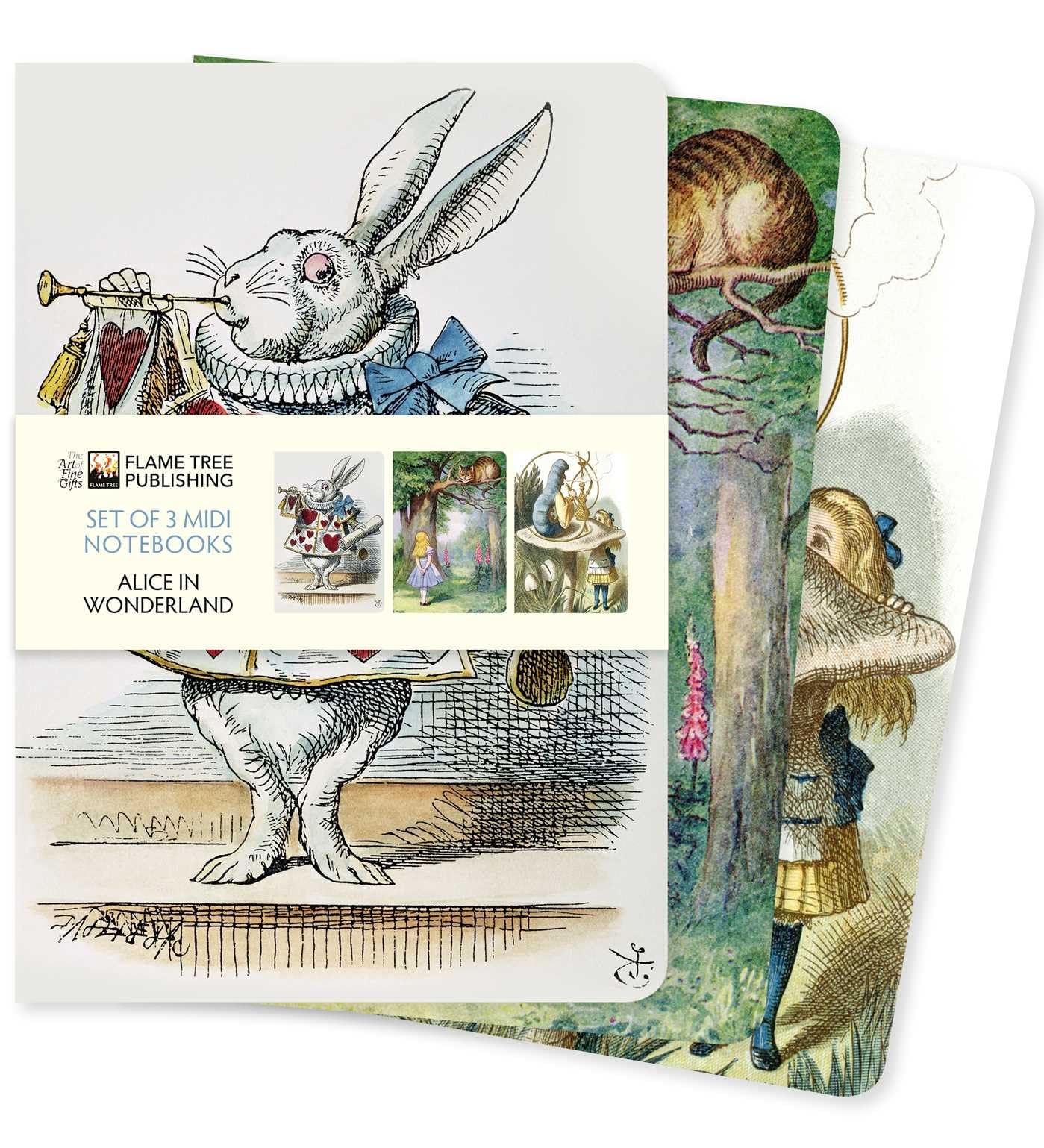 Alice in Wonderland Set of 3 Midi Notebooks (Midi Notebook Collections)