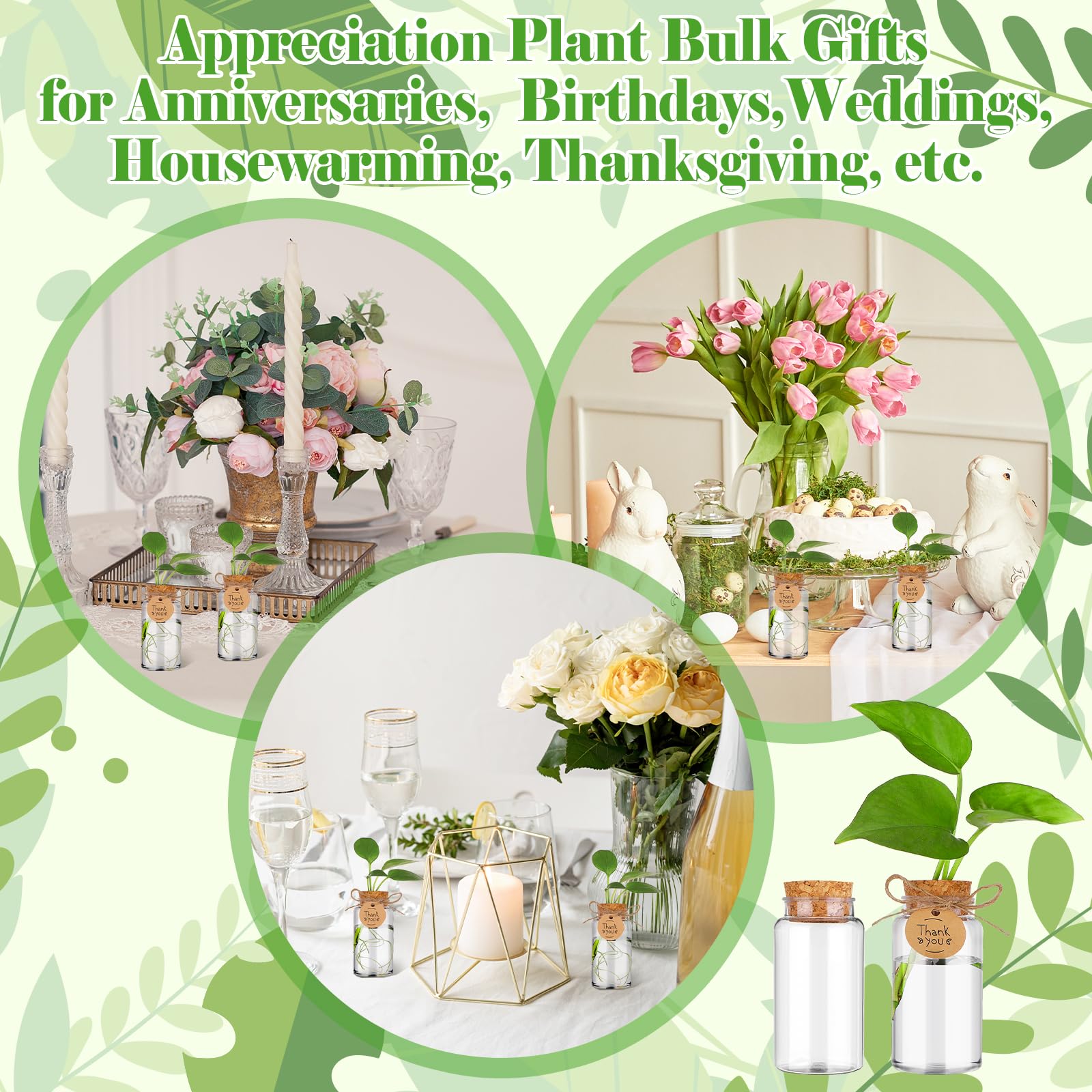 36 paquetes de estaciones de propagación de plantas con tapa de agujero, botellas de cultivo de plástico transparente, recipientes hidropónicos de mesa con etiquetas de agradecimiento para el