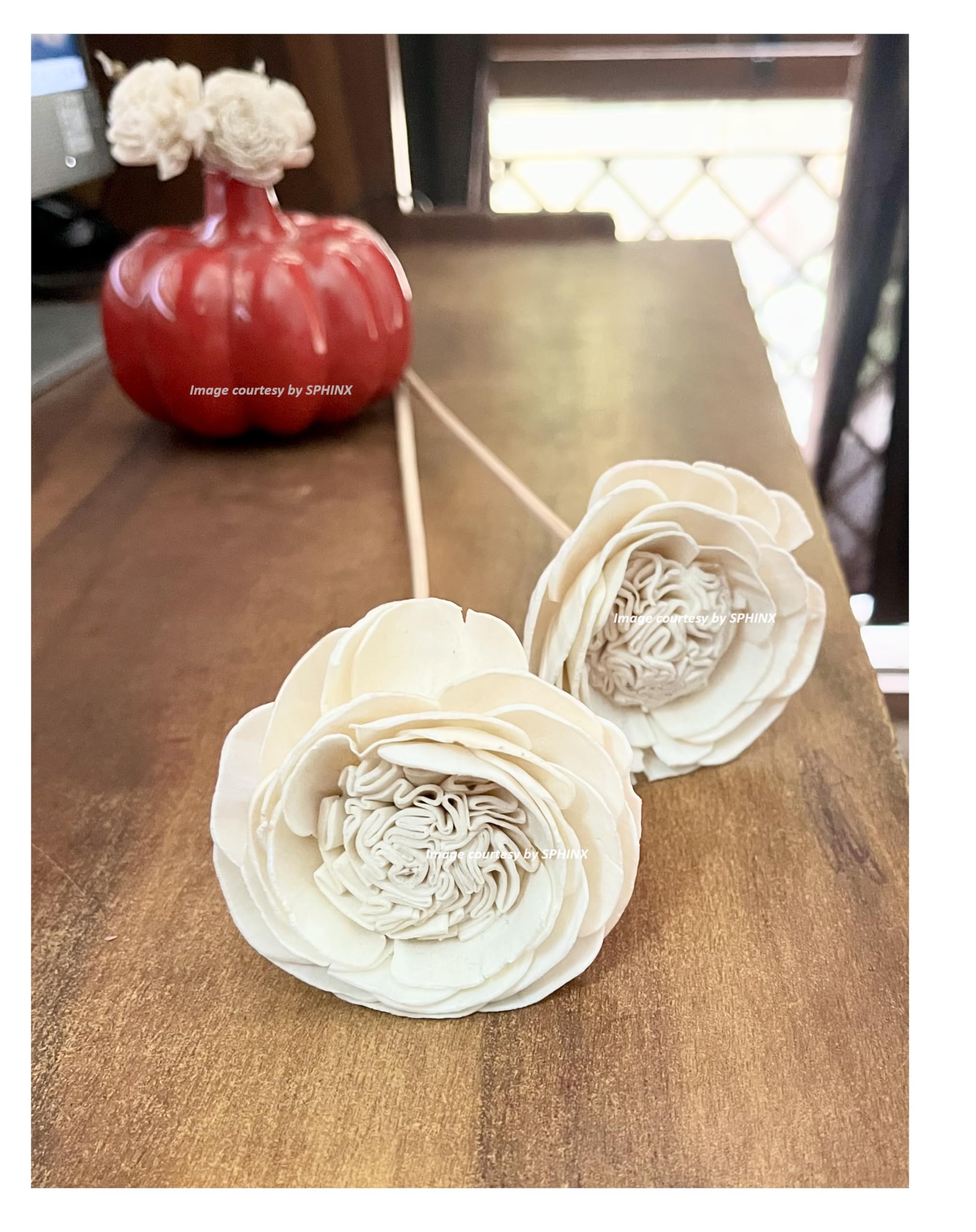 SPHINX Artisanal Handmade Sola Flower Sticks for Decorations - Natural, Sustainable, Eco-Friendly - Sola Rose, Peony, Lotus, Carnation Sticks- Height Approx 50 cms - (Natural/Off-White Lotus, 5)