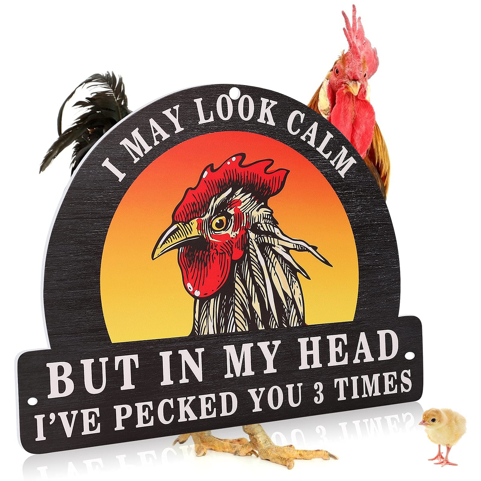 Buy Chicken Coop Sign, Funny Chicken House Decor Sign, Funny Chicken