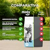 Ver la foto 6