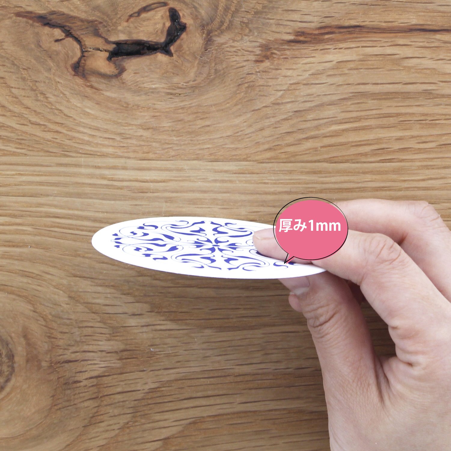 エイ　コースター1枚 Amazon｜Mr. Sci Science Factory 透明骨格標本コースター エイ