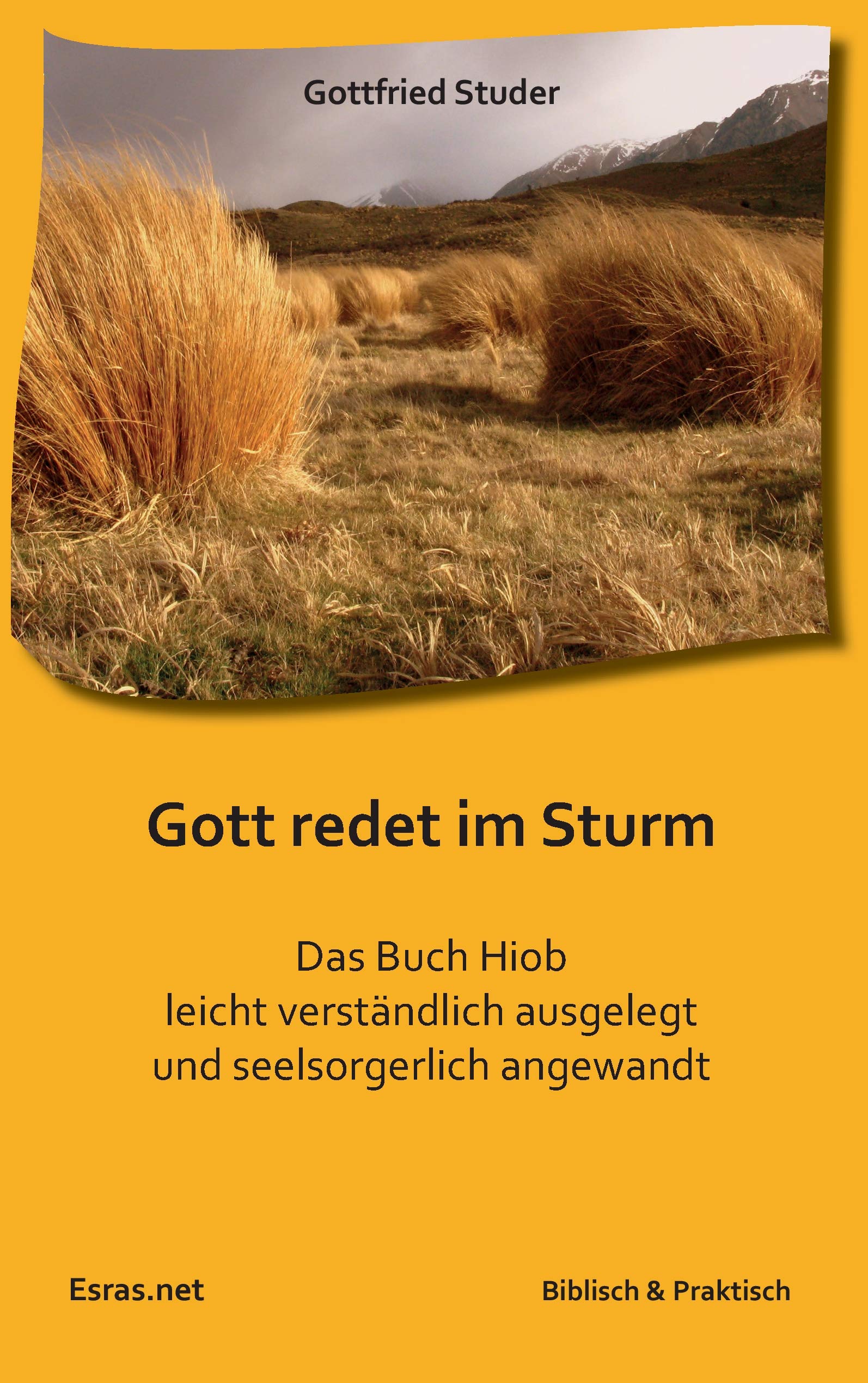 Gott redet im Sturm: Das Buch Hiob leicht verständlich ausgelegt und seelsorgerlich angewandt (Biblisch & Praktisch)