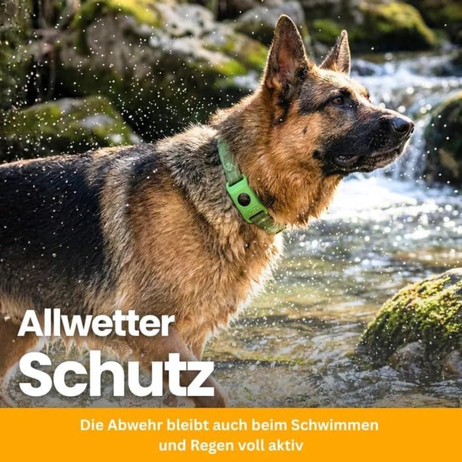 Fell-Freund TickGuard Clip – Gegen Zecken Und Flöhe, Repellent-Hänger, 100% Natürliche Inhaltsstoffe (Schwarz,2 Stück)