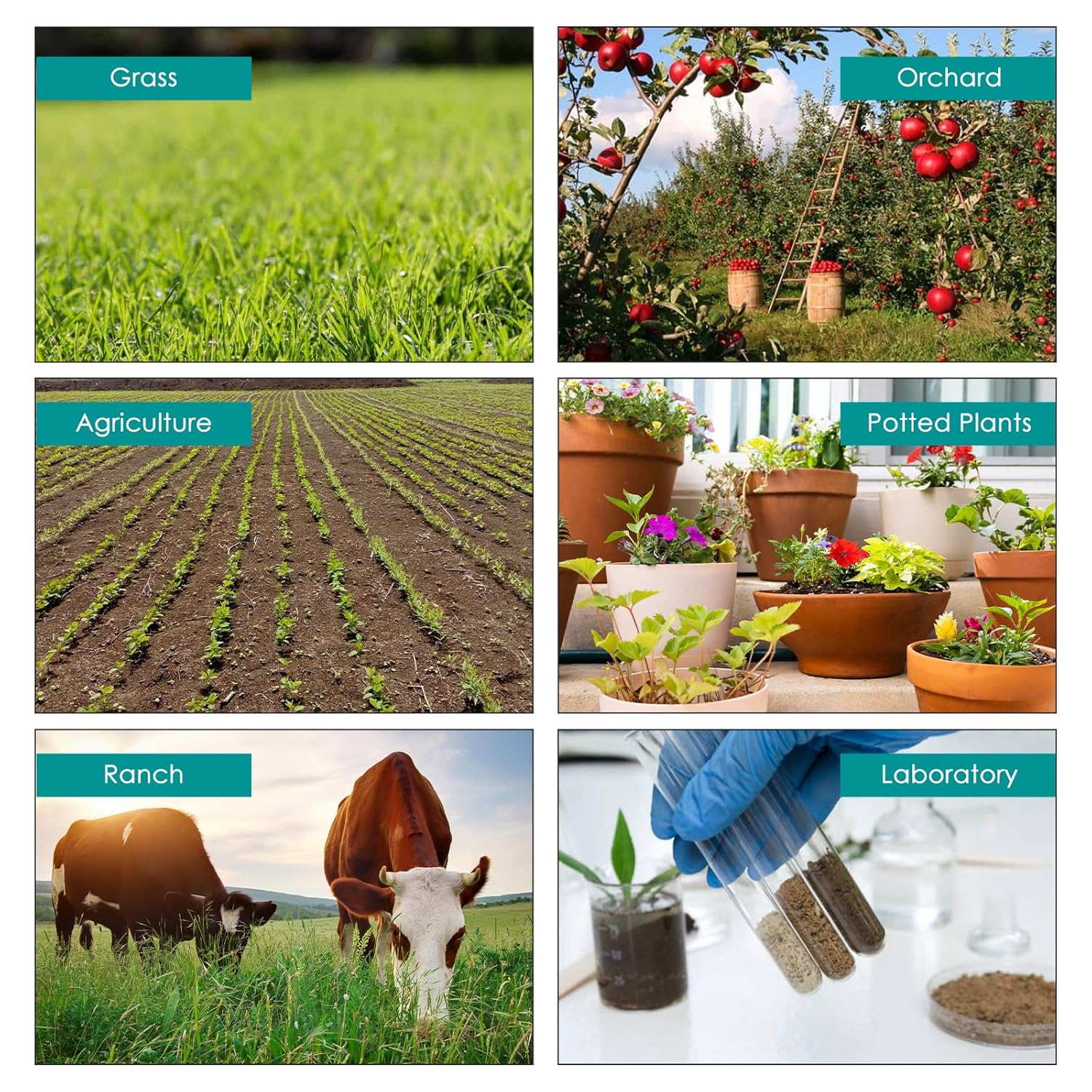 8-in-1 Soil Meter with Bluetooth, Measures pH, EC, Salt, Fertility, Moisture, Temperature, Humidity & Light, App Control, Data Logging, Accurate Gardening & Farming Tool