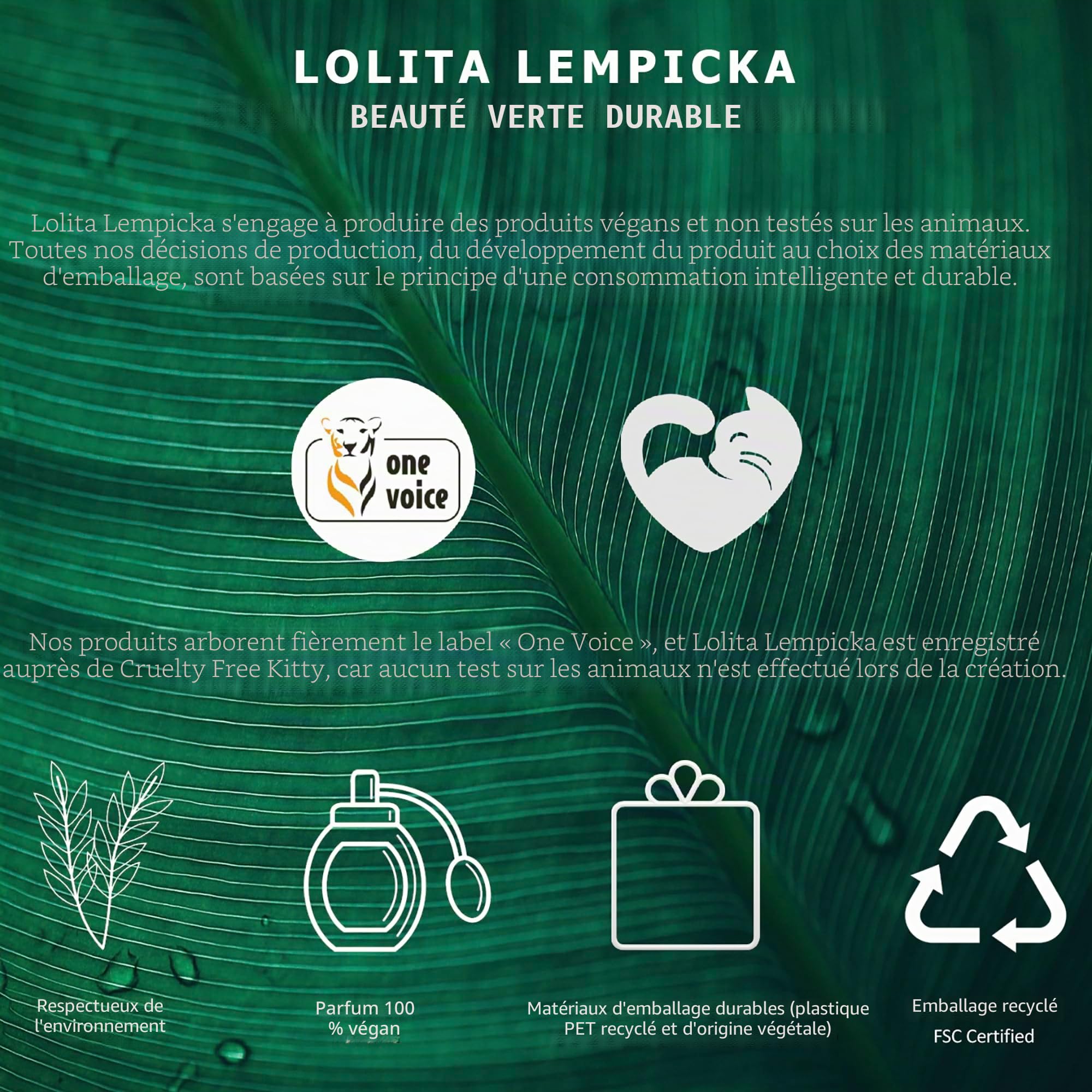Homme par Lolita Lempicka Eau de toilette vaporisateur 100 ml