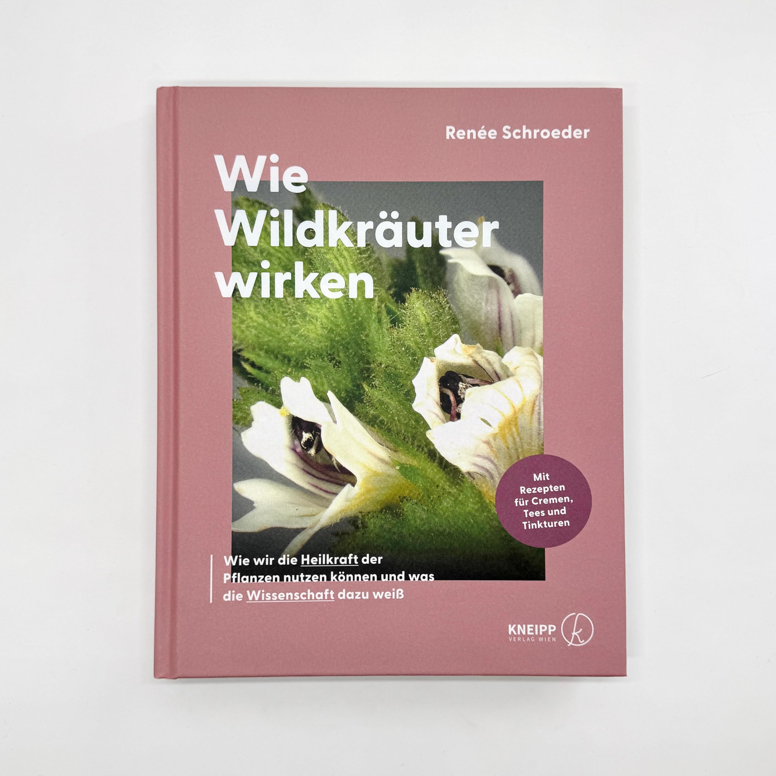 Wie Wildkräuter wirken: Wie wir die Heilkraft der Pflanzen nutzen können und was die Wissenschaft dazu weiß
