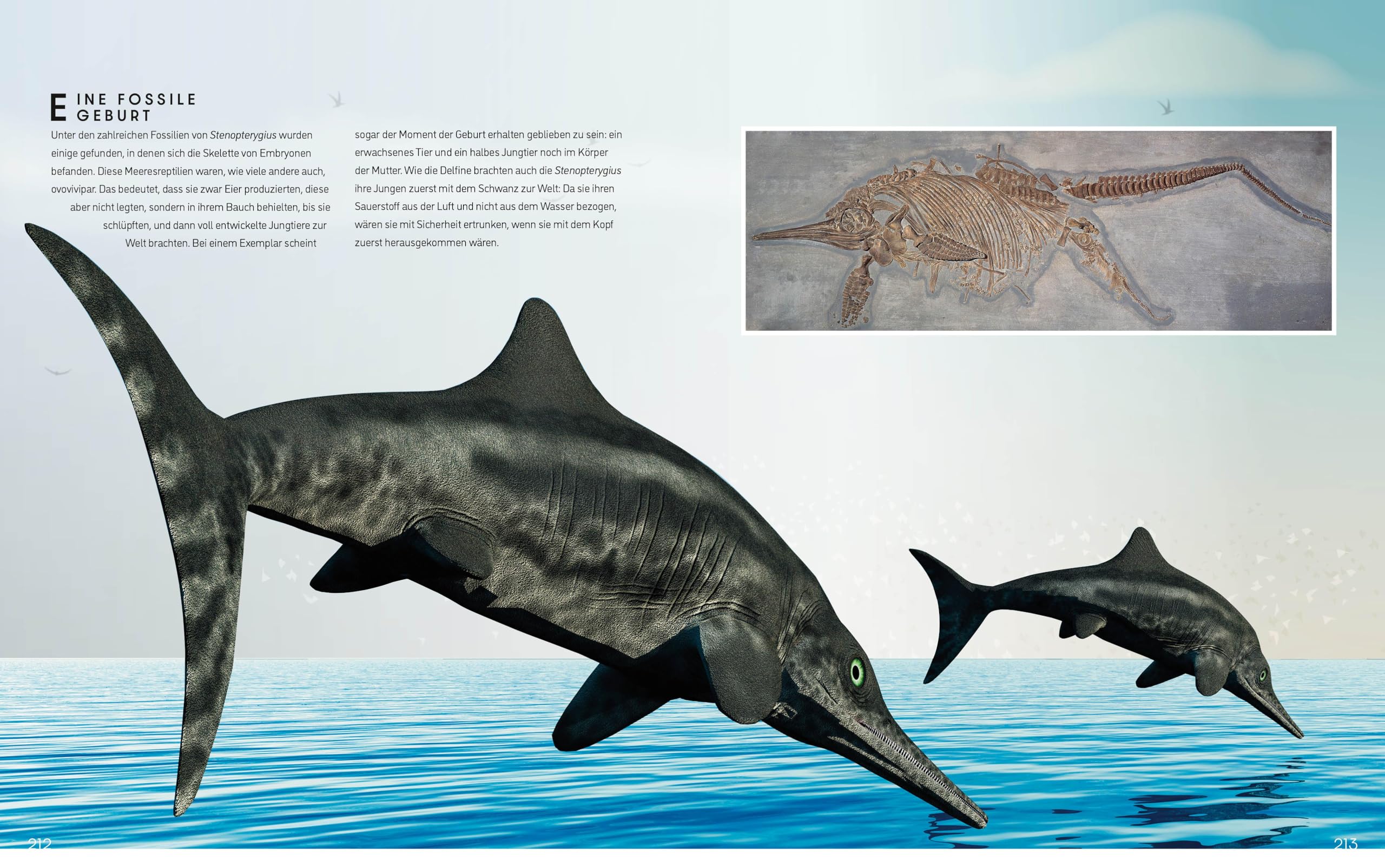 Das ultimative Buch der Dinosaurier. Die umfassendste Enzyklopädie aller Zeiten: National Geographic Kids; für Kinder ab 10 Jahren