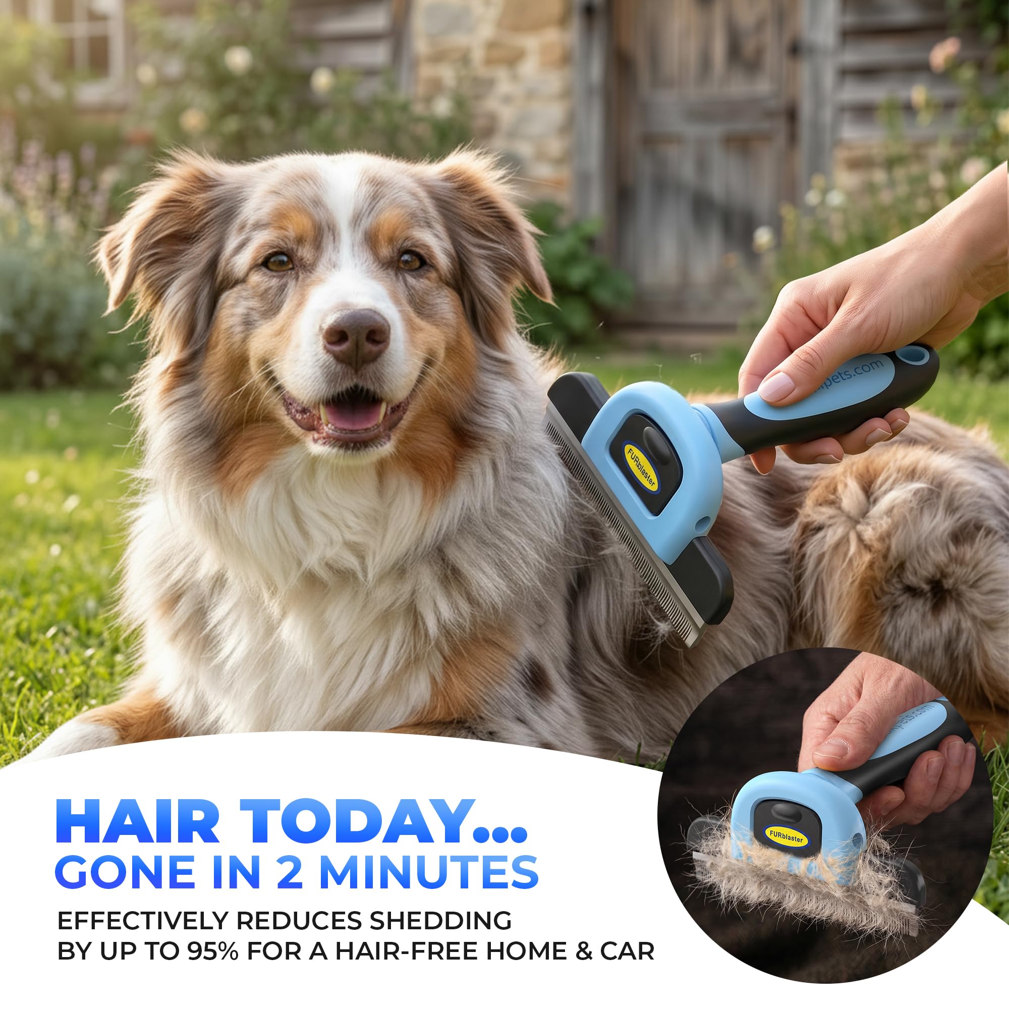 DakPets Outil de toilettage d'animaux de compagnie et Brosse de toilettage pour animaux de compagnie Peigne pour Chiens et Chats