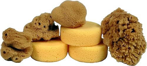 Creative Hobbies Esponjas de seda sintética y natural para pintura, manualidades, cerámica, cerámica y más, paquete de 7 esponjas