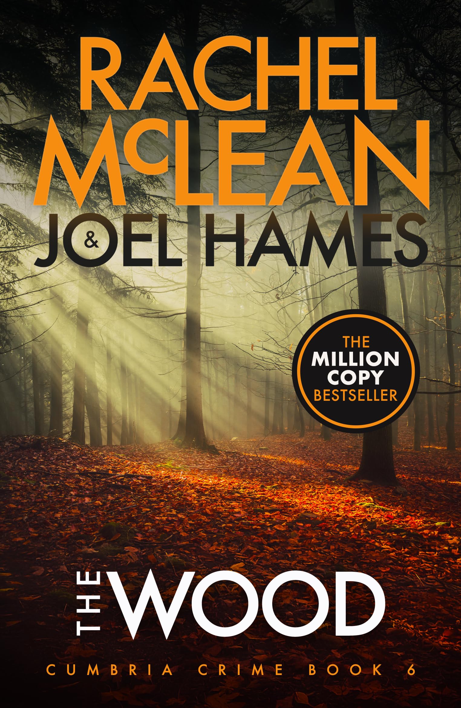 The Wood: 6 (Cumbria Crime)