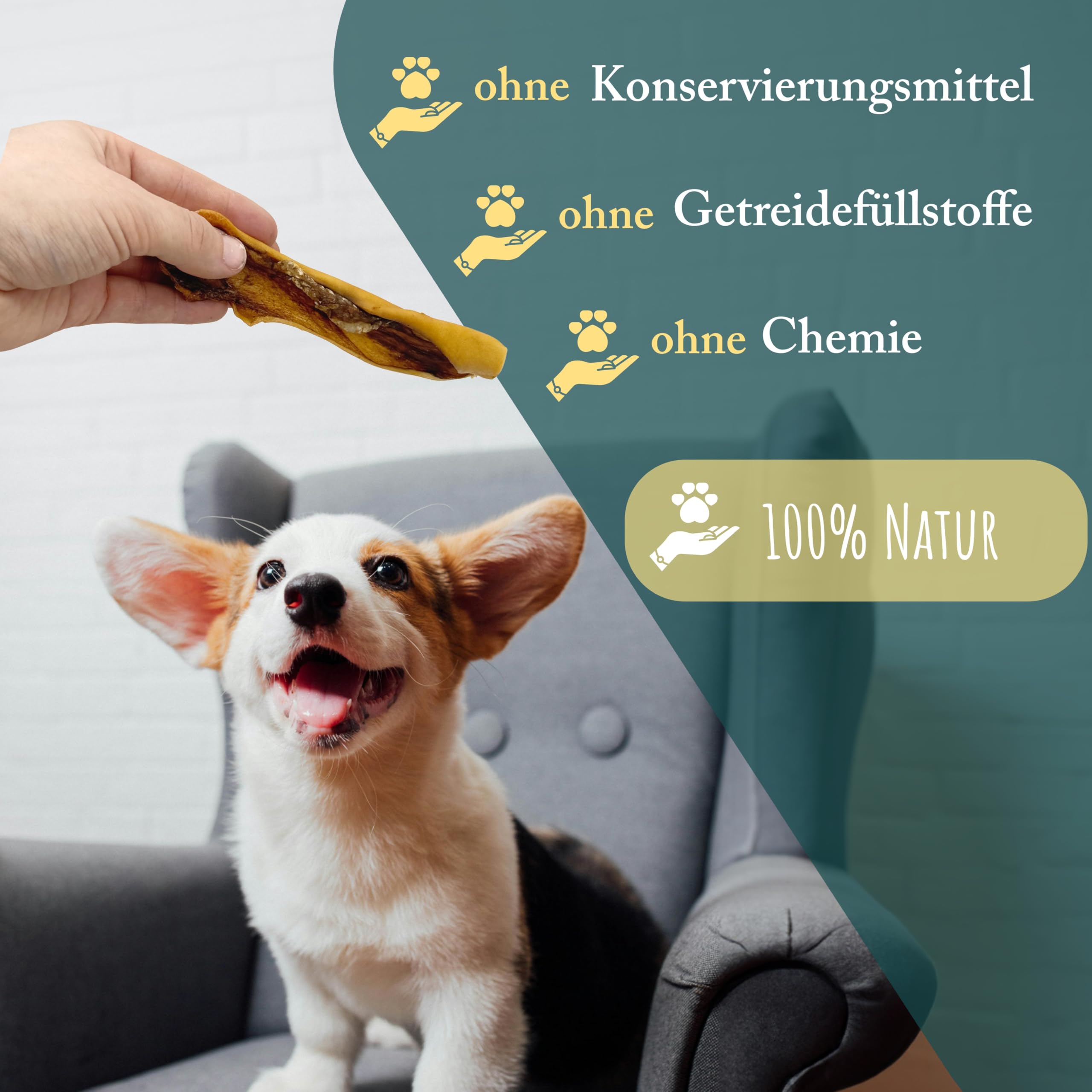 Rinderkopfhaut für Hunde | 10 kg | natürliche und hochwertige Rinderkopfhaut getrocknet | fettarm und proteinreich | Rinderhaut für Hunde von Wuffsnacks