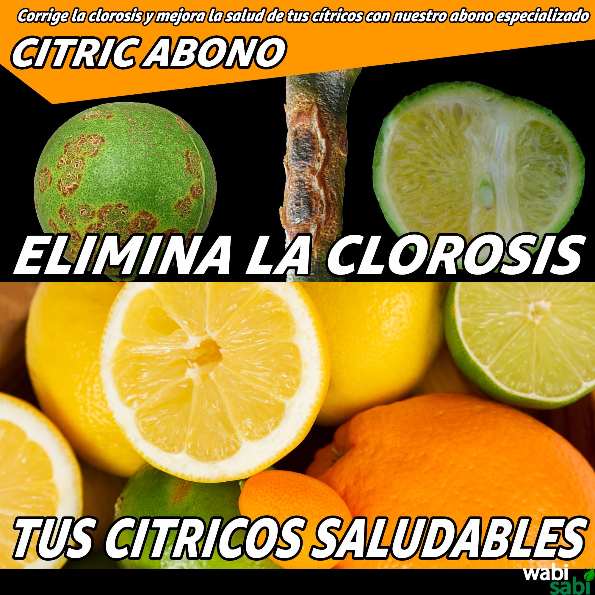 CITRIC ABONO Abono para Cítricos Premium NPK 20-5-10, Hierro, Calcio y Micronutrientes - Mejora Frutos, Fortalece Raíces y Evita Amarillamiento - Ecológico y Orgánico (7kg)