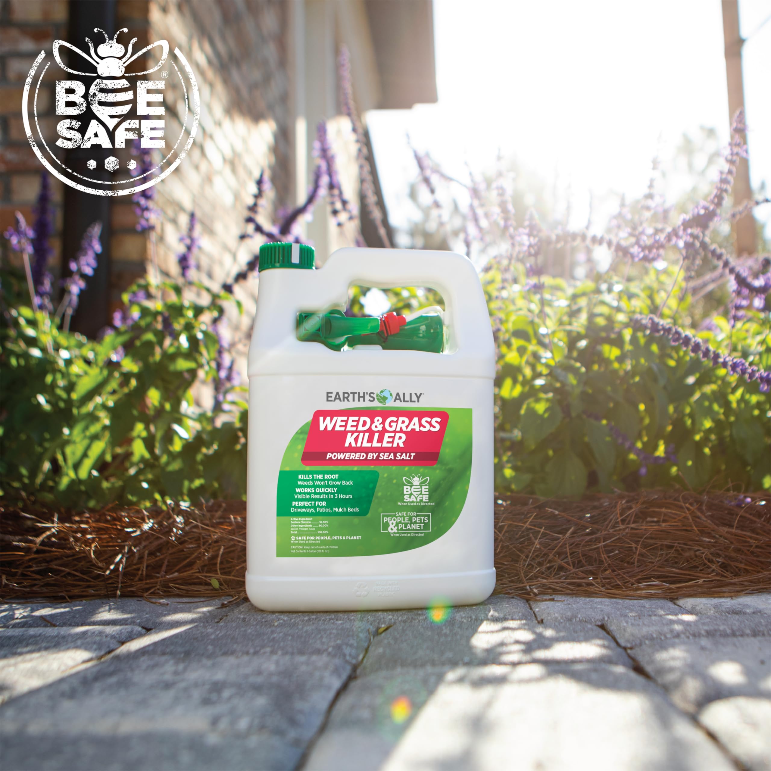Amazon.com : Earth's Ally Weed and Grass Killer | Safe, Pet-Friendly  Natural Weed Control Spray for Driveways & Sidewalks, Ready-to-Use 1 Gallon  - Bee Safe, No Glyphosate Weed Killer : Patio, Lawn