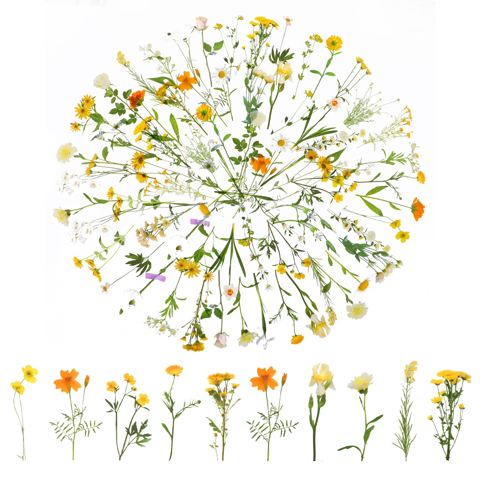 120 Transparente Scrapbooking Aufkleber, PET Blumen Aufkleber Pflanzen Sticker, Flower Stickers, Blumenaufkleber für Scrapbook Fotoalbum Sammelalbum Laptops Handwerk(Gänseblümchen)