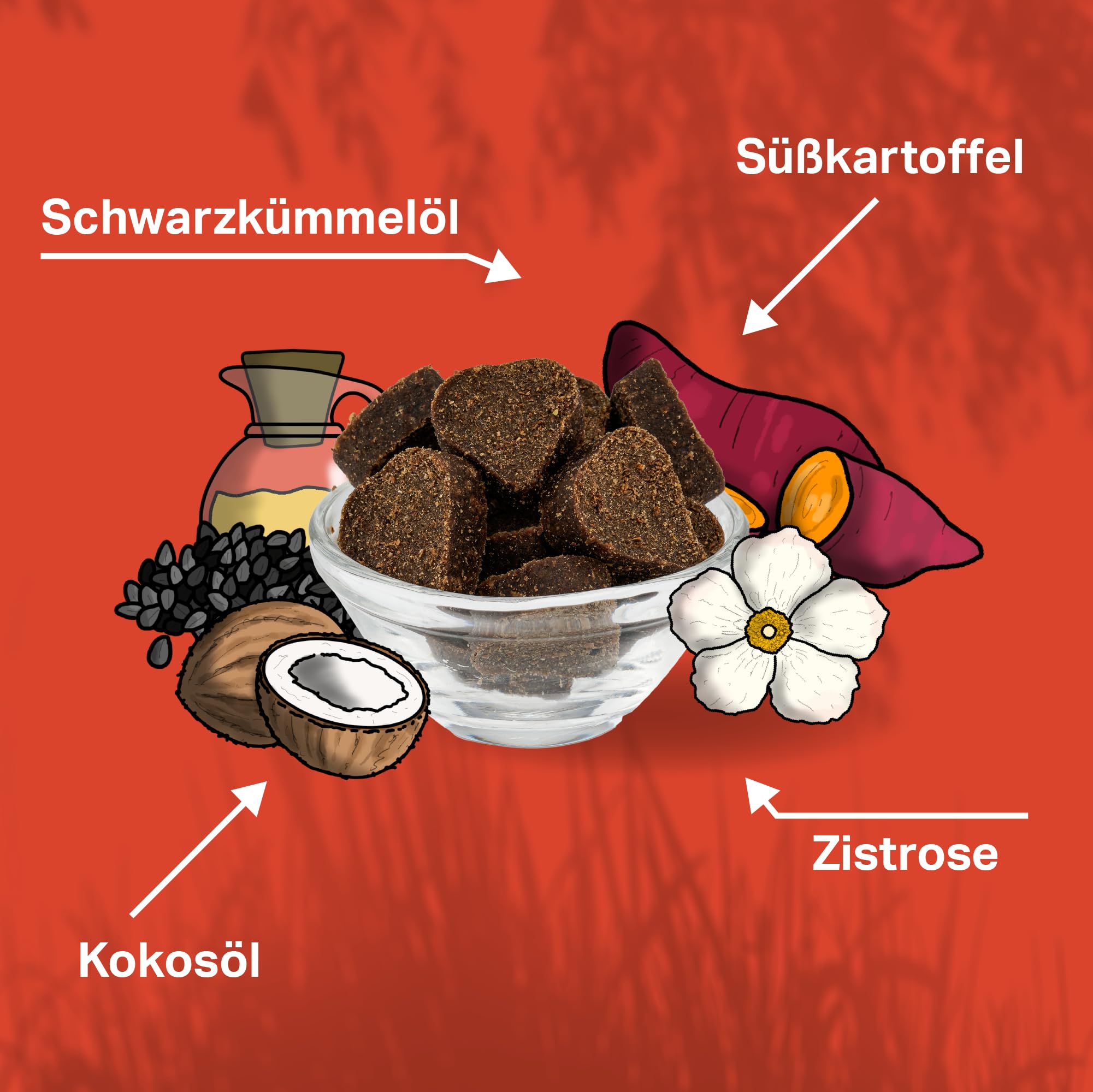 MEDIDOG Zeggi Weggi Premium Drops für Hunde – 400 g – mit Schwarzkümmelöl, Zistrose, Kokosöl, Lammprotein – Hypoallergen – Ideal für die Saison