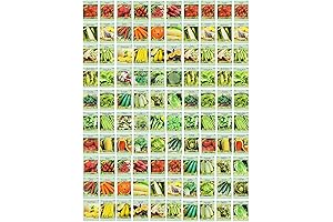 100 Assorted Seed Packets Bulk 100% Heirloom Vegetable Seeds