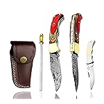 Multi Wood Unique Beautiful 6.5\'\' Custom Handmade Damascus Steel Brass Bolster Back Lock Folding Pocket Knife Sharpening Rod 100% Prime Quality Plus Beautiful Blue Wood Stainless Steel Pocket Knive