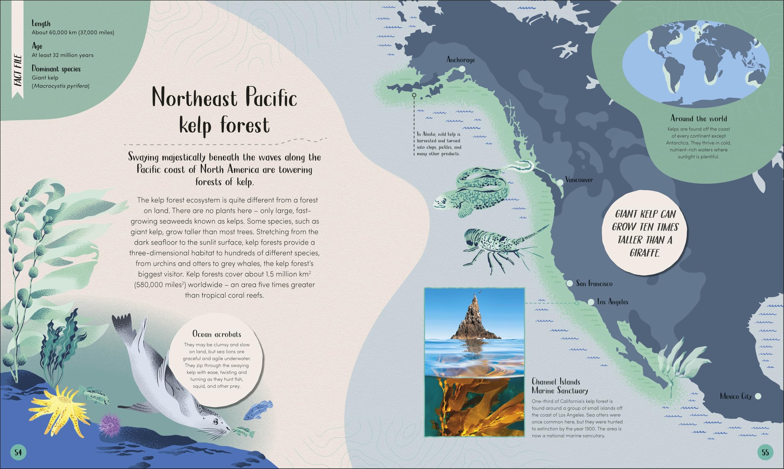 Ocean: Dive in and Discover the World Beneath the Waves (Earth's Incredible Habitats)