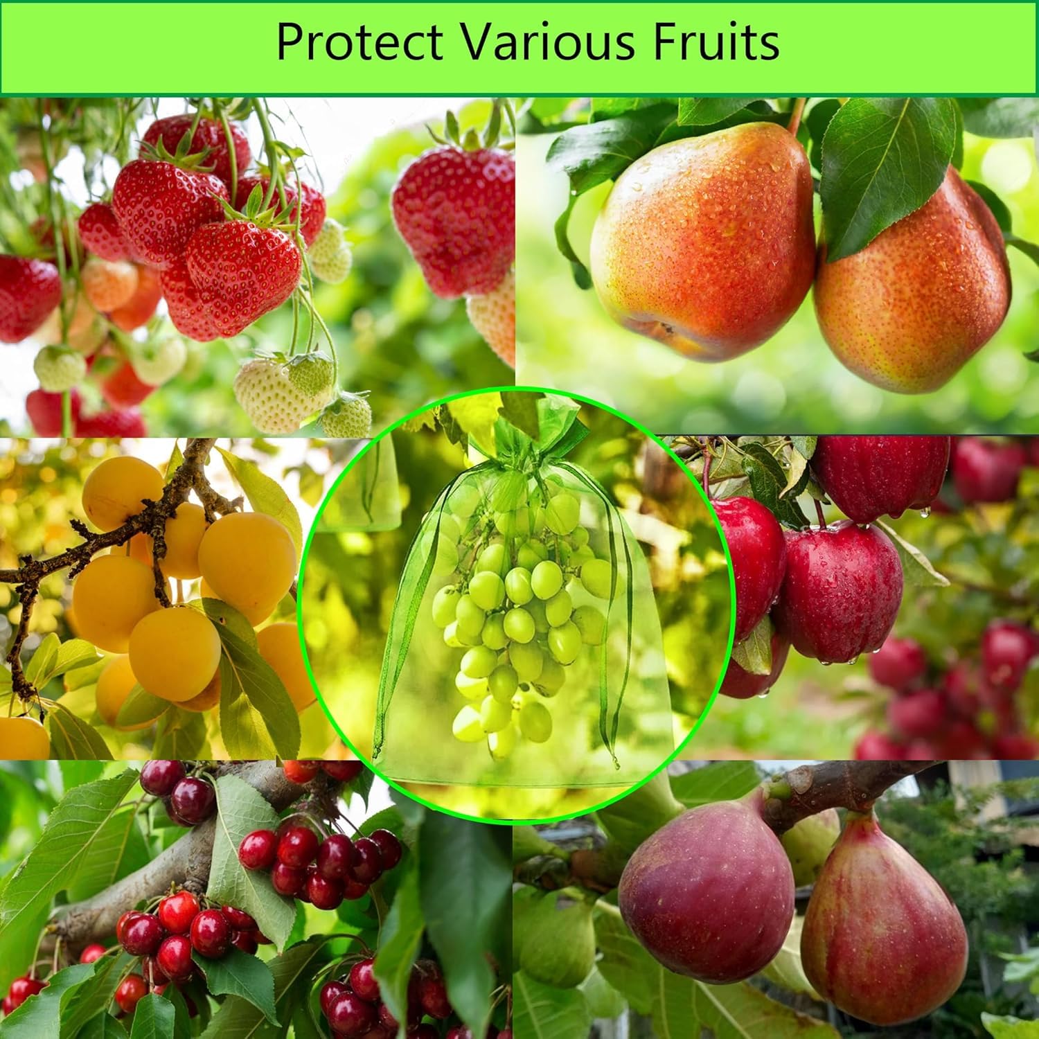 100 Piezas Bolsas para Uvas en Parra, Bolsas Uvas Proteccion 30x40cm, Malla de Protección de Frutas de Organza para Proteger Los Racimos de Uvas de Avispones y Antipajaros
