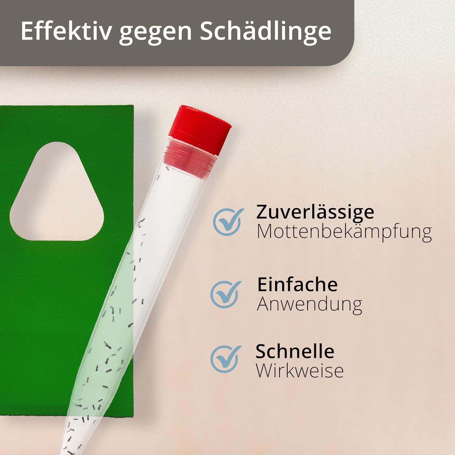 Schlupfwespen gegen Motten: Biologische Lösungen für Ihr Zuhause