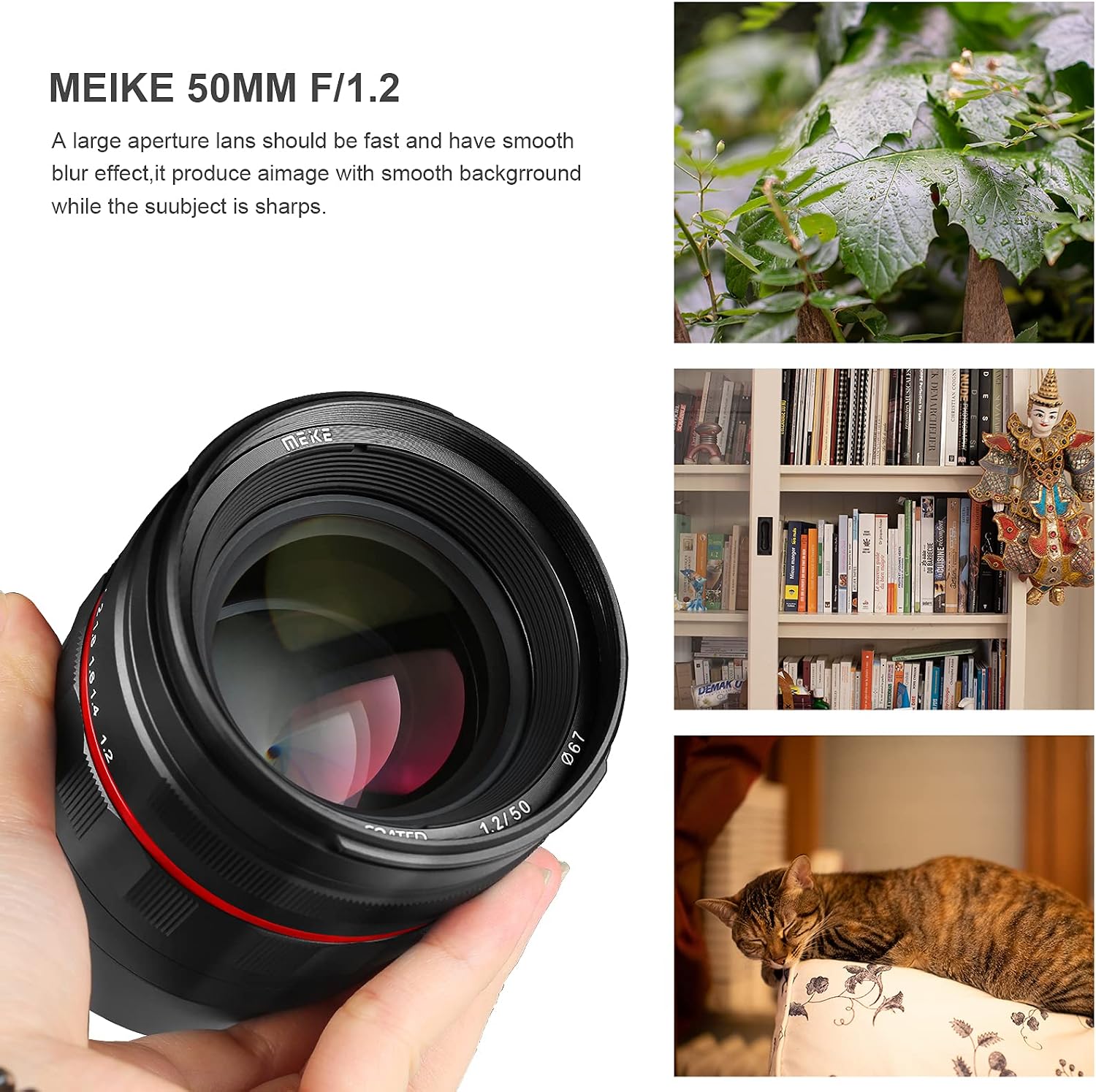 Example photographs taken with the Meike MK-50mm F1.2 lens, demonstrating shallow depth of field and bokeh.