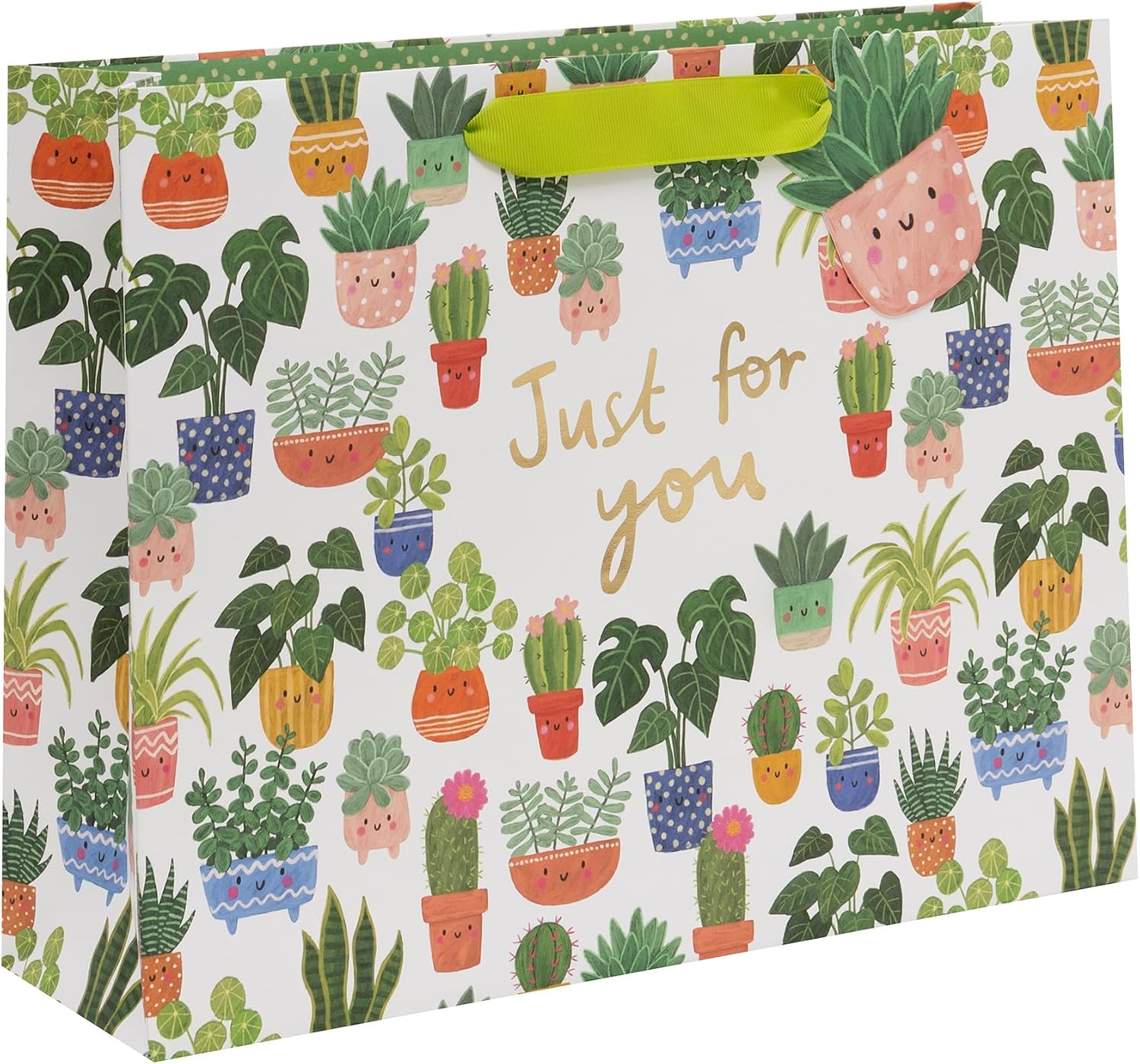 Glick Large Landscape Gift Bag - Planty Pals Design - 355 x 275 x 100mm