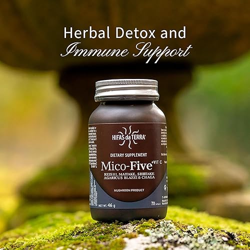 Miniatura 5 de HIFAS DA TERRA Mico-Five - Complejo de hongos, suplemento de hongos con reishi orgánico, shiitake y chaga, nootrópico herbario y apoyo inmunológico