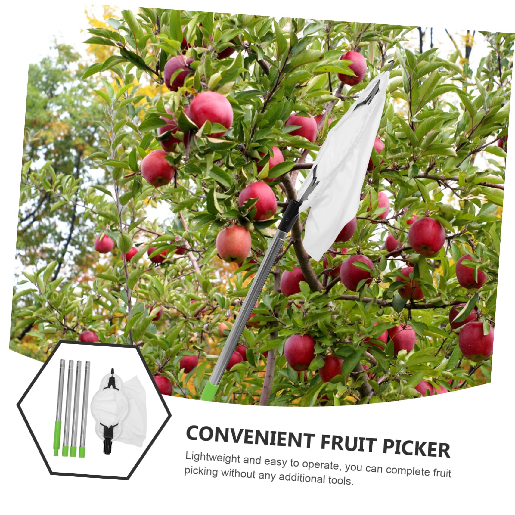 1 Set Raccoglitrice Di Frutta Aerea Gabbia Frutta Strumenti Per La Raccolta Delle Mele Raccoglitore Di Arance Palo Per La Raccolta Della Frutta Silver Acciaio Inossidabile
