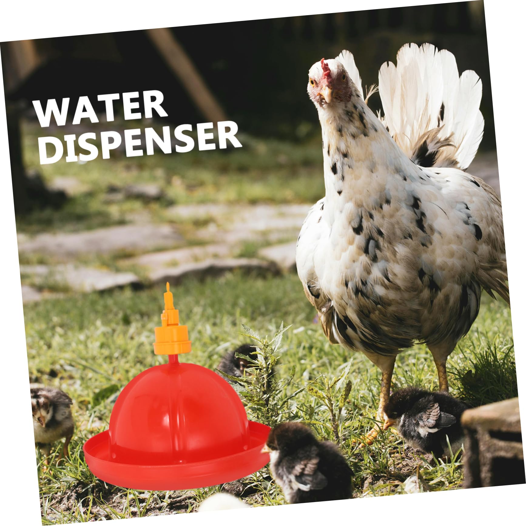 Bebedero Automático para Pollos y Patos, Juego 1 Unidad PP Rojo | Aves de Corral, Cría Avícola, Contenedor Peso Integrado, Resistente al Agua