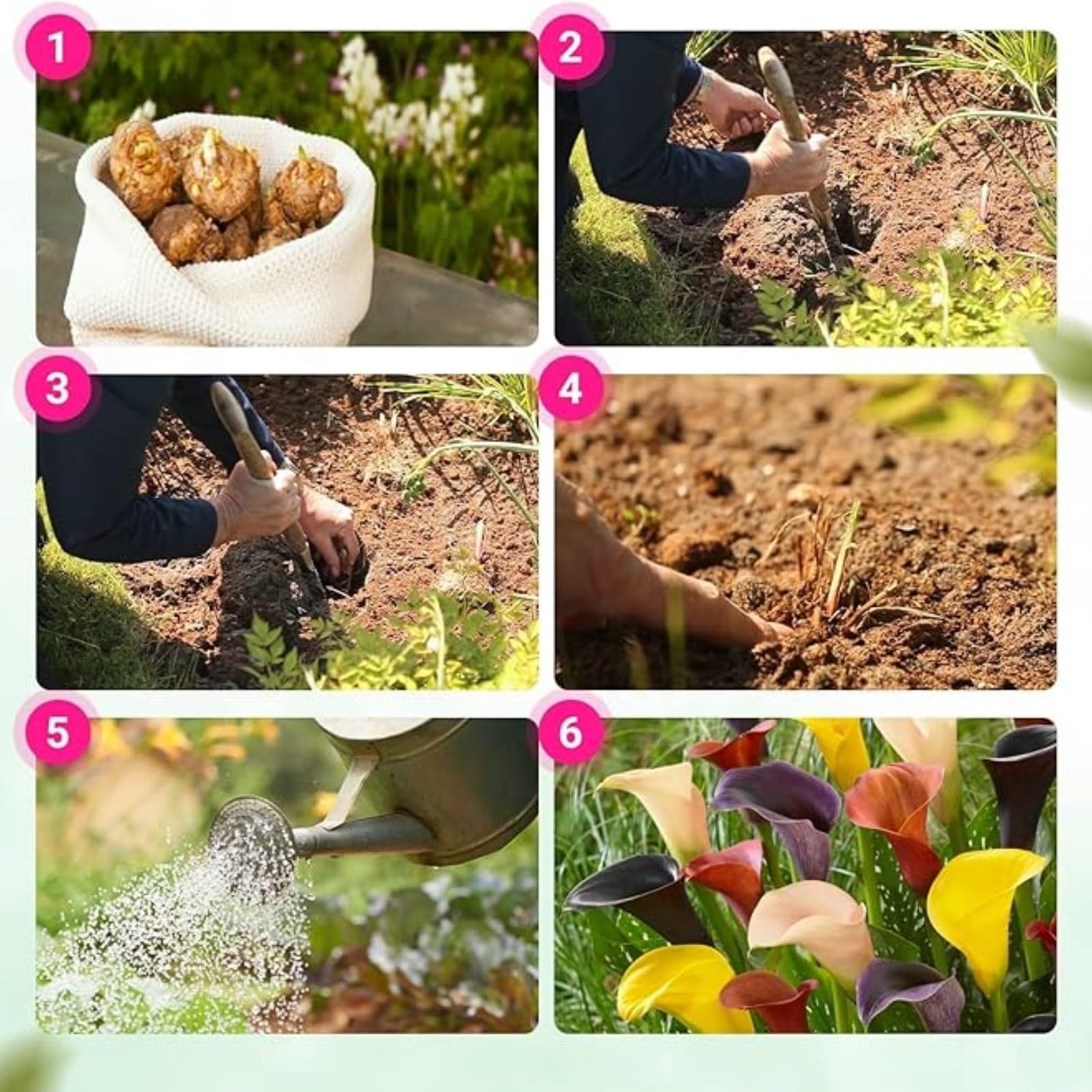 View 2