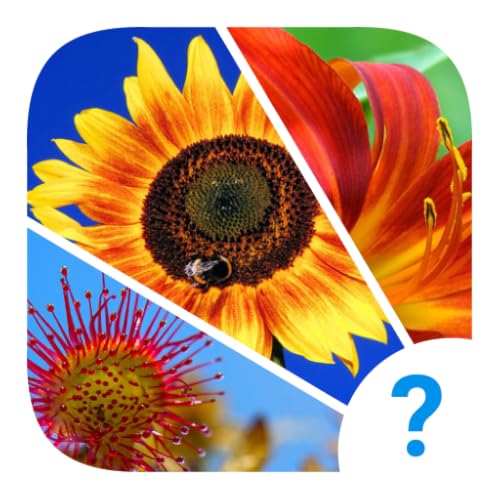 4 Clues: Word Search Game
