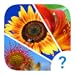 4 Clues: Word Search Game