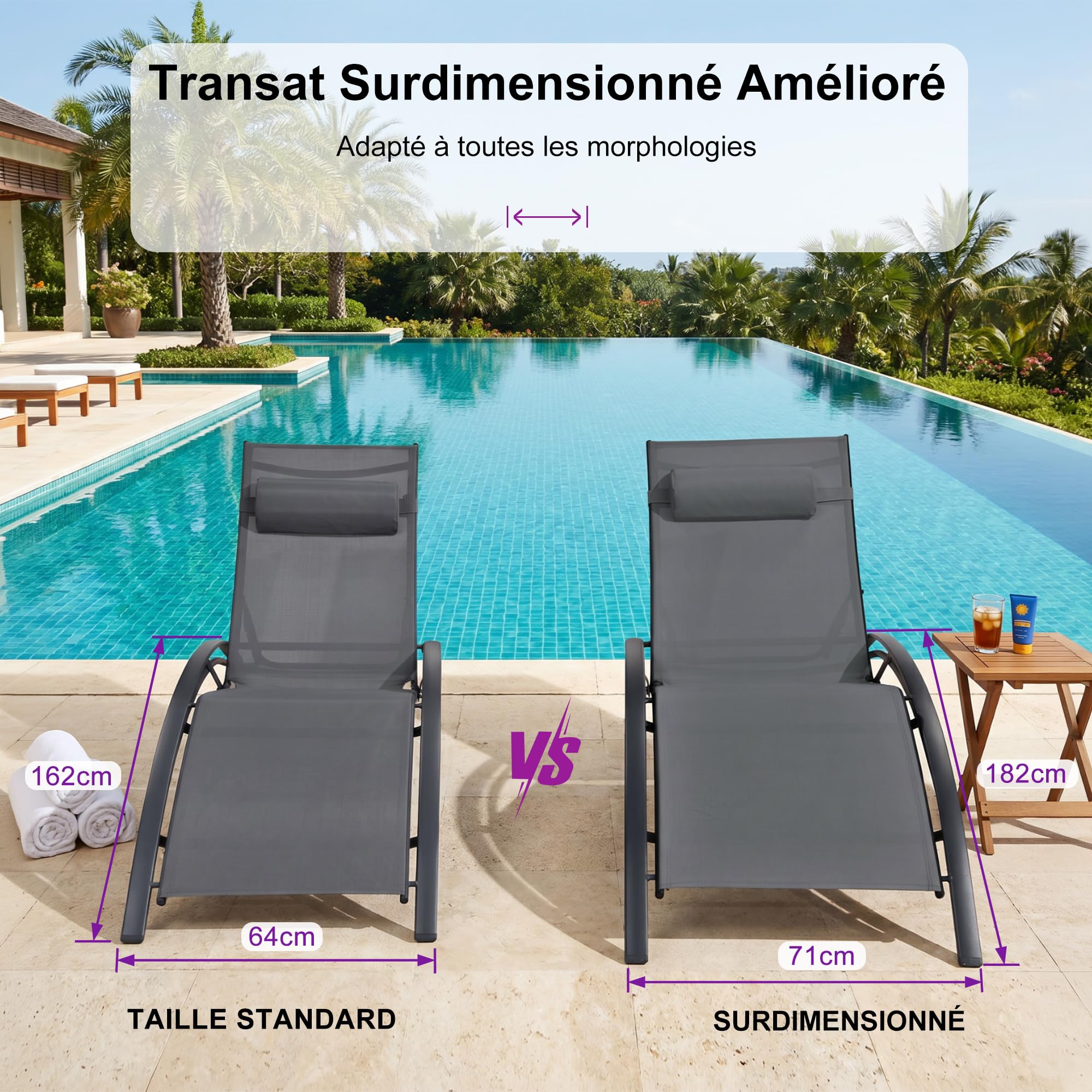 PURPLE LEAF Lot de 2 Bains de Soleil Aluminium XL Gris avec Table Transats