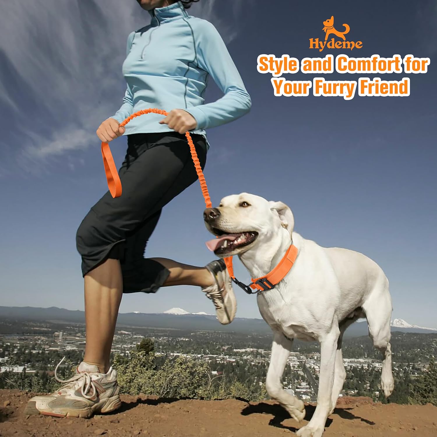 HYDEME Tactical Dog Collar Adjustable Nylon Collar with Control Handle and Heavy Metal Buckle for Medium and Large Dogs, with Patches&Airtags Case&Poop Bag Dispenser&Portable Bowl. (L, Orange-Set)