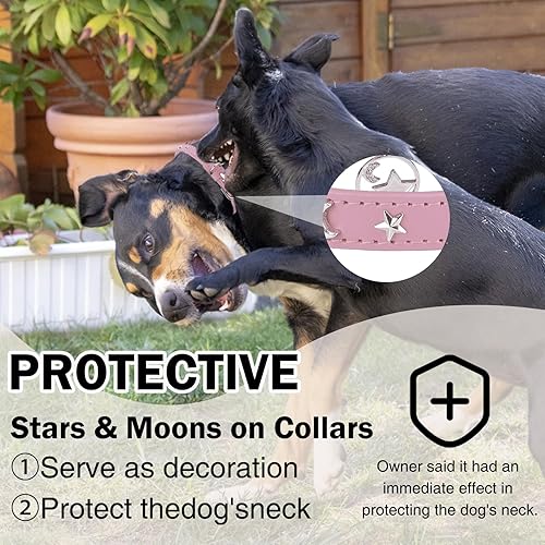 Miniatura 2 de DILLYBUD Collar de cuero para perros pequeños y medianos, collares ajustables con tachuelas de estrella y luna con hebilla de metal inoxidable y