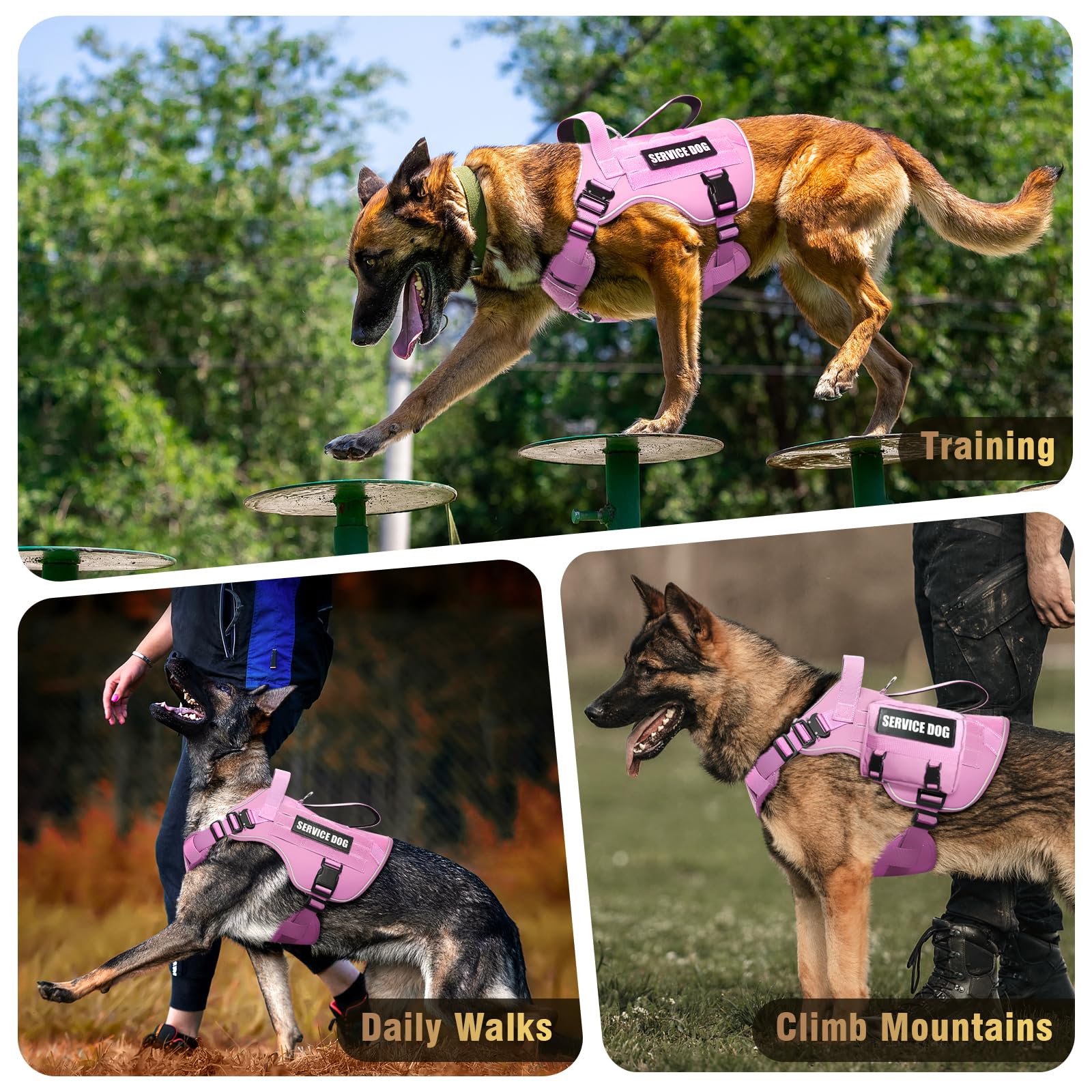 WINSEE Taktisches Hundegeschirr für große Hunde, robuste Servicehunde, MOLLE-Weste mit 10 Haustier-Patches, kein Ziehen, Militär-Arbeitsweste für Training, Jagd, Spazierengehen