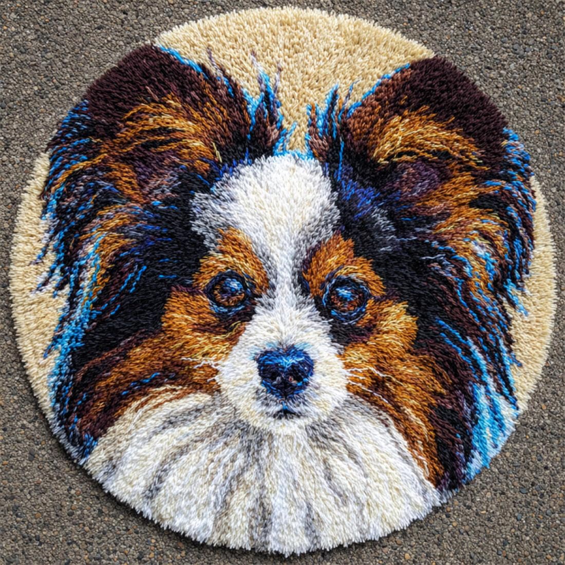 Rqwybcaxn DIY Latch Hook Rug Making Kits for Beginners Animal Embroidery Set Cartoon Papillon 60x60cm Round Tapestry with Crochet Hook Bedroom Craft Gift