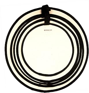 Big Fat Snare Drum Drum Head (ABFSDRSP-Queso)