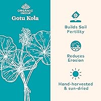 Vista 2 de Cápsulas de Gotu Kola de Organic India (90 cápsulas)
