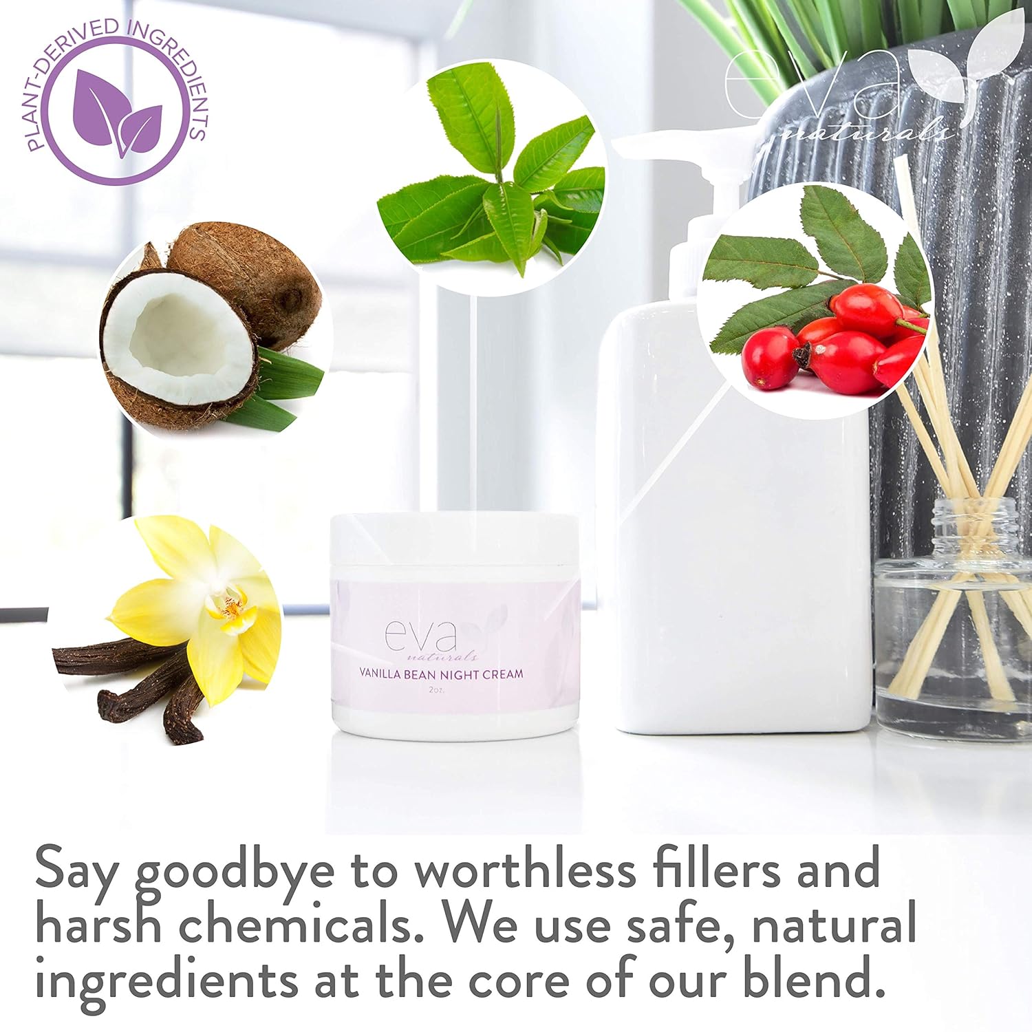 Vanilla Bean Night Cream by Eva Naturals (2 oz) - Best Anti-Aging Night Cream Boosts Collagen and Hydrates Complexion - Helps Protect against Damage and Nourish Skin - With Vitamin E and Green Tea : Beauty & Personal Care