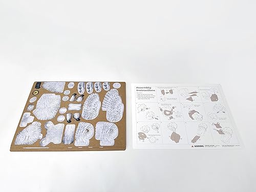 Miniatura 7 de Juguete STEM para niños, juego e interacción para bebés, niños y niñas, desarrollo temprano y aprendizaje de bebés, kits de ciencia ideal para