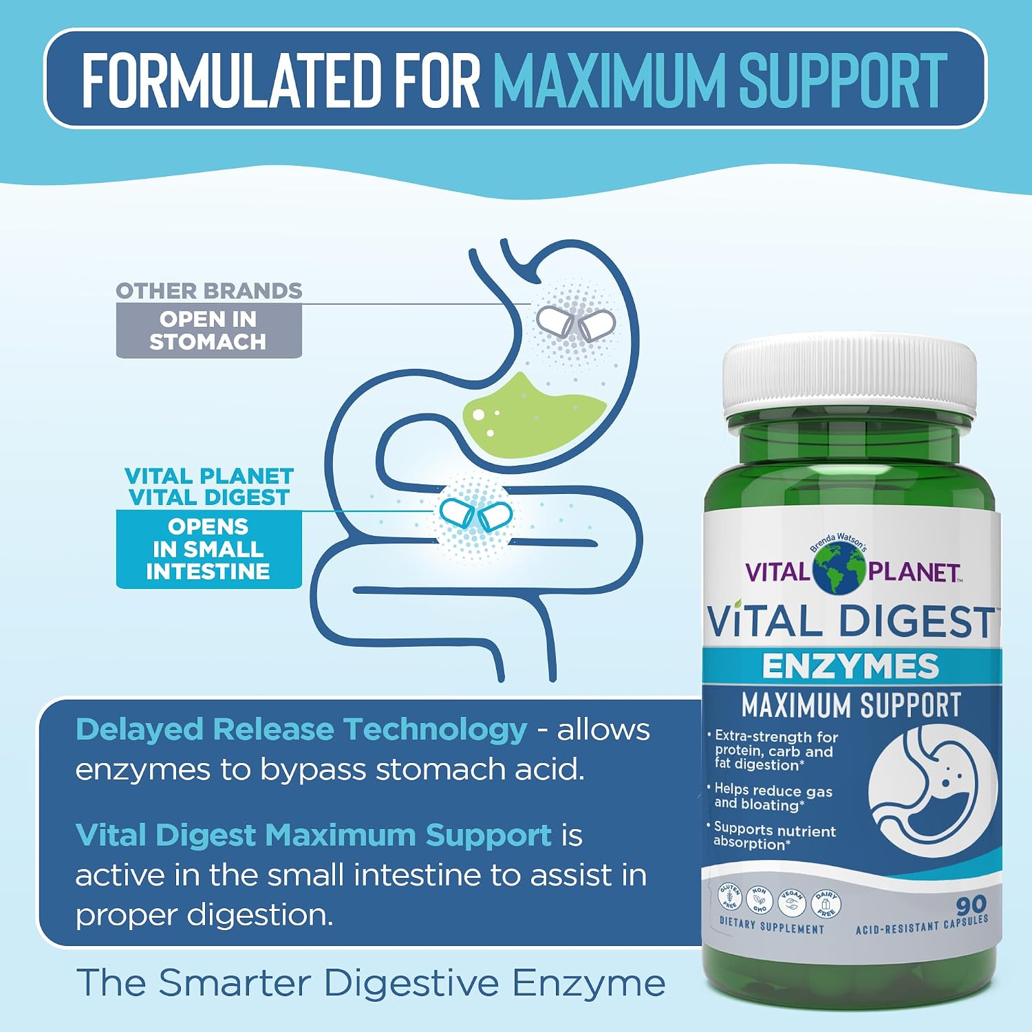 Vital Planet – Vital Digest Natural Digestive Enzymes Supports Breakdown of Proteins, Fats, and Carbohydrates and Reduces Occasional Gas, Bloating and Indigestion 90 Capsules (Packaging May Vary)