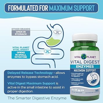 Vital Planet Vital Digest Natural Digestive Enzymes Supports Breakdown of Proteins, Fats, and Carbohydrates and Reduces Occasional Gas, Bloating and Indigestion 90 Capsules (Packaging May Vary)