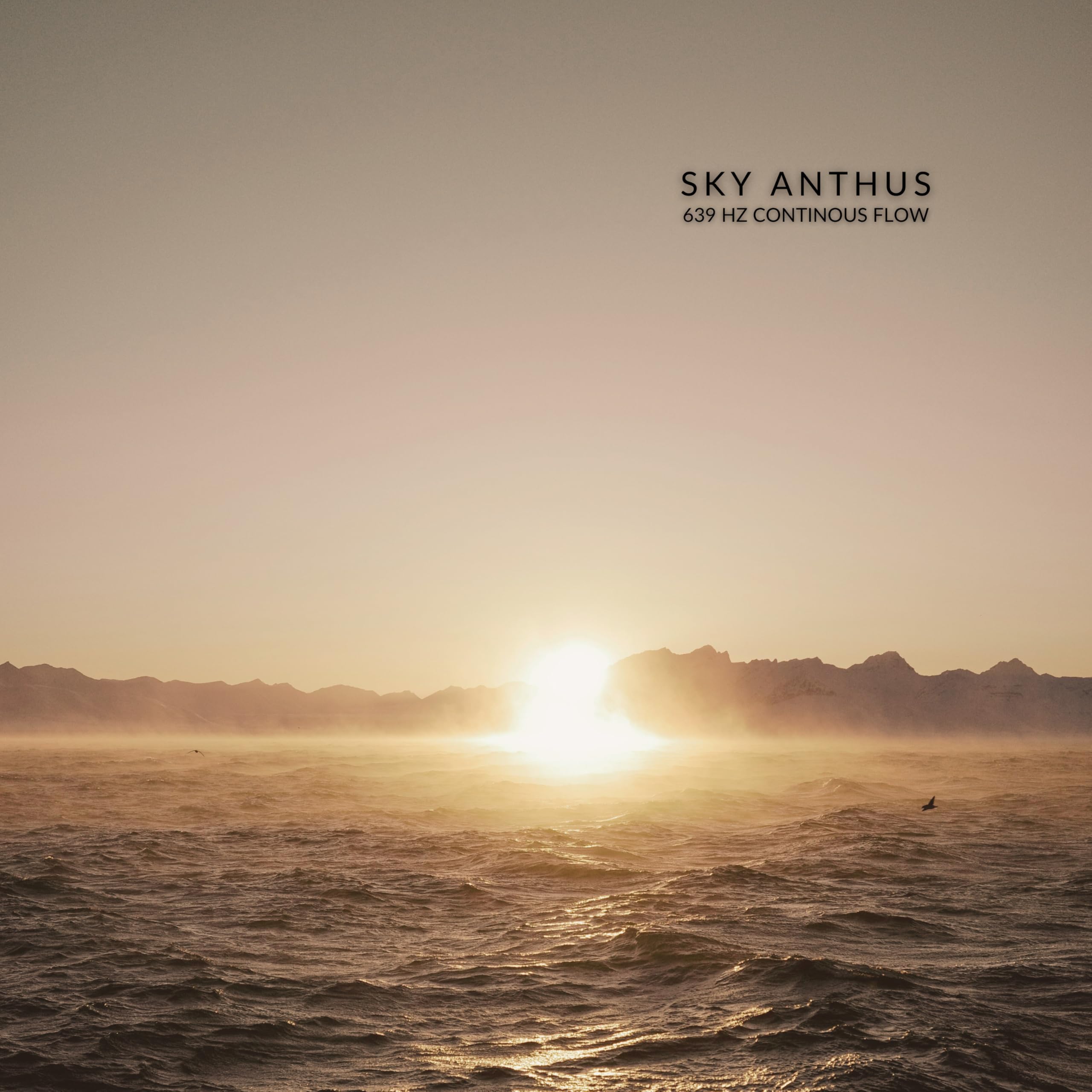 Sky Anthus