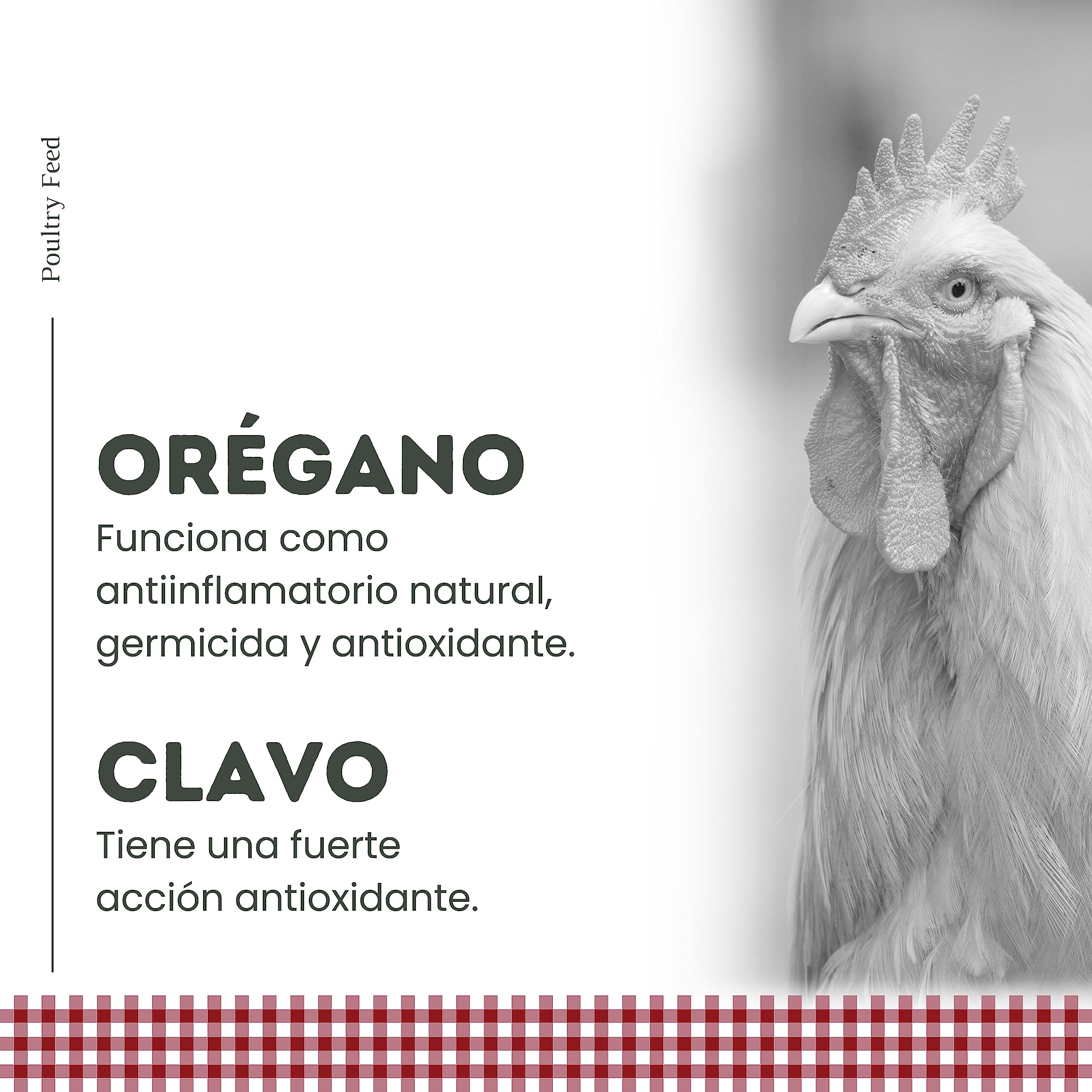 Pienso para Gallinas Ponedoras y Ornamentales | Alimento con Fórmula Exclusiva | Poultry Feed Saco 25 kg | Rico en Proteínas y Grasas Saludables para un Plumaje Vistoso (Pack 6)