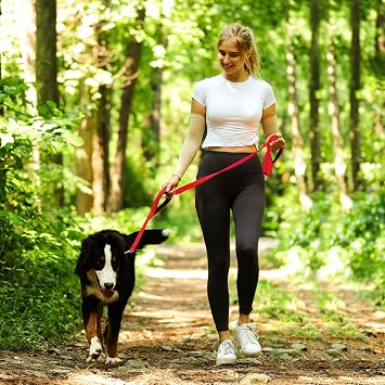 VIVAGLORY Traffic Handle Dog Leash, Soft Two Padded Handles, Strong Reflective & Metal Hook Training Lead for Medium Large Dogs, Red