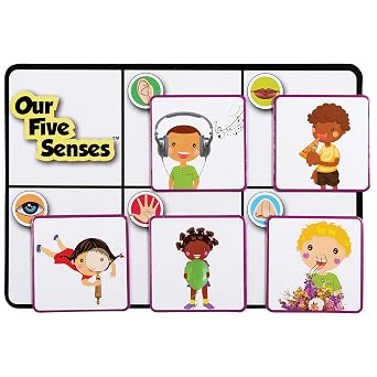 LEARNING ADVANTAGE Our 5 Senses, Learning Game for Kids Ages 3+ | Teach the 5 Senses, Practice Descriptive Language