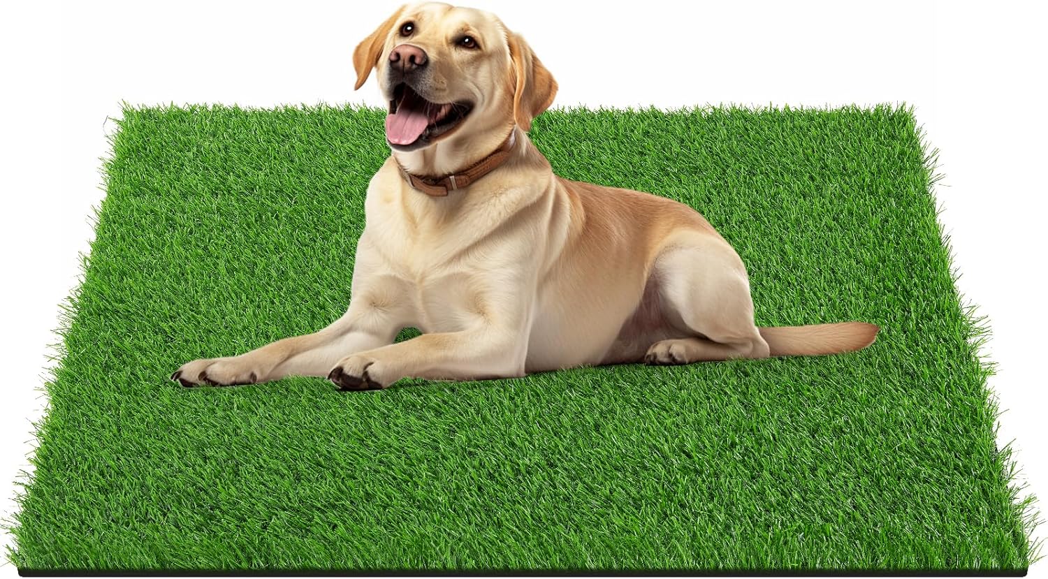 LOOBANI 39.3in x 31.5in Grass Pad for Dogs Potty Training